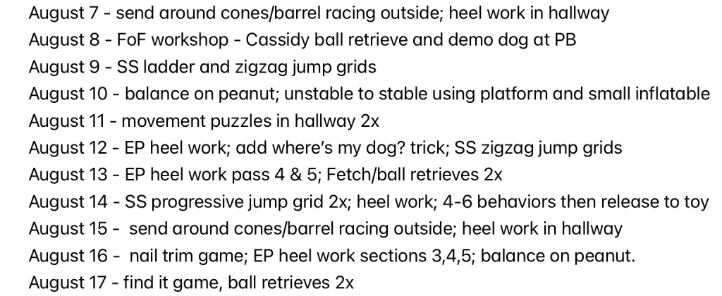 Snippet of Daily training sessions